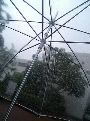 [雨に濡れるビニール傘]