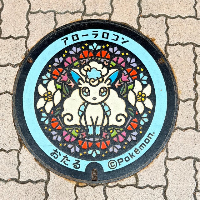 ポケふた アローラロコン