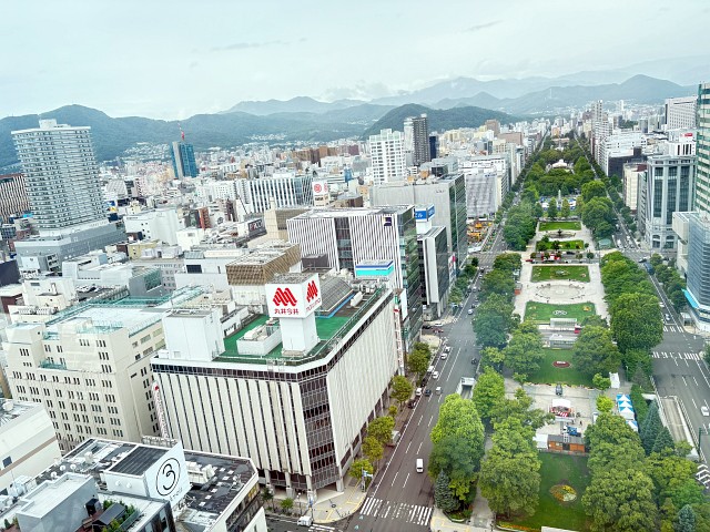 さっぽろテレビ塔から見た大通公園
