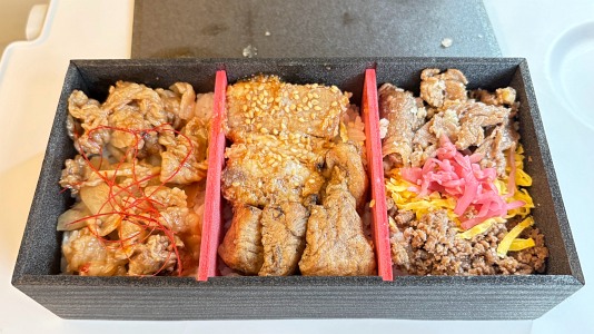 駅弁「ぐるり九州お肉の旅」（松栄軒）