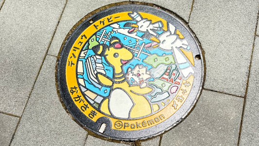デンリュウ＆トゲピー＆キャモメのポケふた